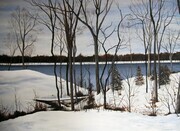 Potomac in Winter